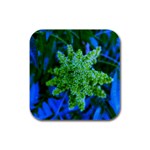 Lime Green Sumac Bloom Rubber Square Coaster (4 pack)  Front