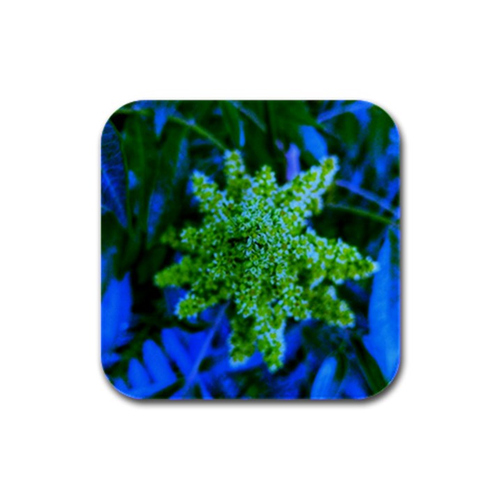 Lime Green Sumac Bloom Rubber Square Coaster (4 pack) 