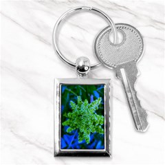 Lime Green Sumac Bloom Key Chains (rectangle)  by okhismakingart