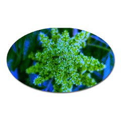 Lime Green Sumac Bloom Oval Magnet by okhismakingart