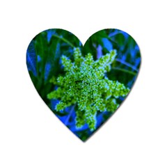 Lime Green Sumac Bloom Heart Magnet by okhismakingart