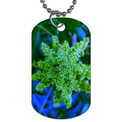 Lime Green Sumac Bloom Dog Tag (two Sides) by okhismakingart