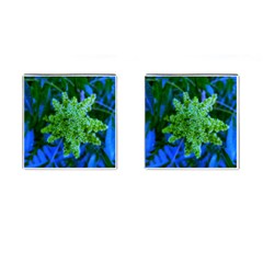 Lime Green Sumac Bloom Cufflinks (square) by okhismakingart