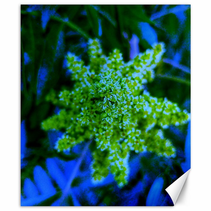 Lime Green Sumac Bloom Canvas 8  x 10 