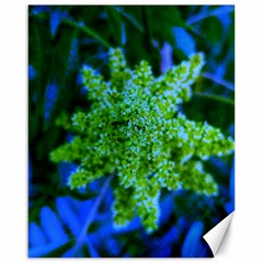 Lime Green Sumac Bloom Canvas 16  X 20  by okhismakingart