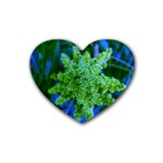 Lime Green Sumac Bloom Heart Coaster (4 pack)  Front