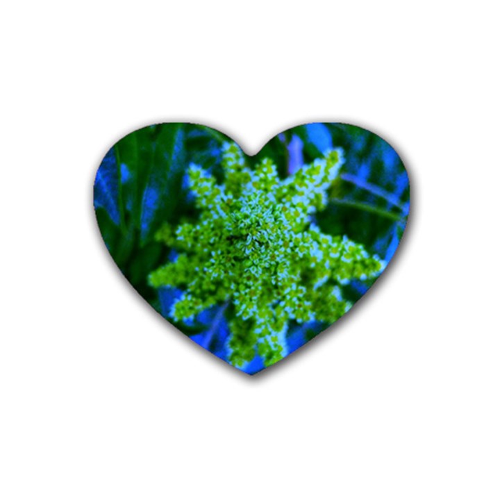 Lime Green Sumac Bloom Heart Coaster (4 pack) 