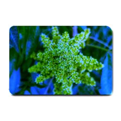 Lime Green Sumac Bloom Small Doormat  by okhismakingart