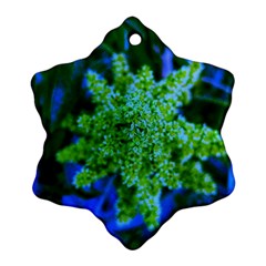 Lime Green Sumac Bloom Ornament (snowflake) by okhismakingart