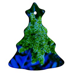 Lime Green Sumac Bloom Ornament (christmas Tree)  by okhismakingart