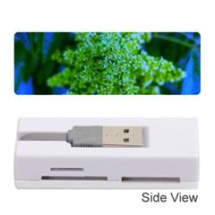 Lime Green Sumac Bloom Memory Card Reader (stick) by okhismakingart