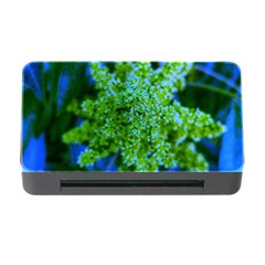 Lime Green Sumac Bloom Memory Card Reader With Cf by okhismakingart