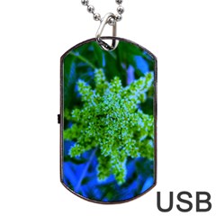 Lime Green Sumac Bloom Dog Tag Usb Flash (two Sides) by okhismakingart