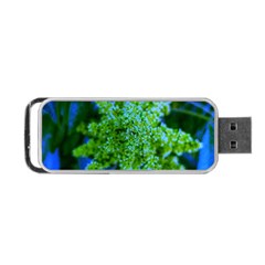 Lime Green Sumac Bloom Portable Usb Flash (two Sides) by okhismakingart