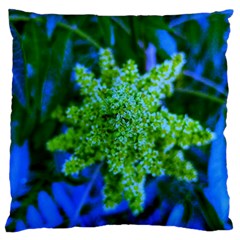 Lime Green Sumac Bloom Standard Flano Cushion Case (two Sides) by okhismakingart