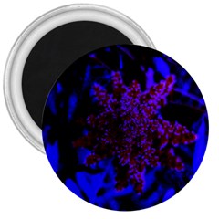 Maroon And Blue Sumac Bloom 3  Magnets by okhismakingart