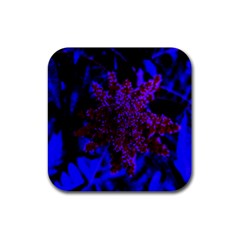 Maroon And Blue Sumac Bloom Rubber Coaster (square)  by okhismakingart