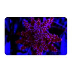 Maroon And Blue Sumac Bloom Magnet (rectangular) by okhismakingart