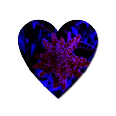 Maroon And Blue Sumac Bloom Heart Magnet by okhismakingart