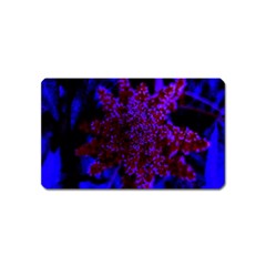 Maroon And Blue Sumac Bloom Magnet (name Card) by okhismakingart