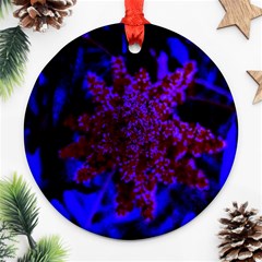 Maroon And Blue Sumac Bloom Round Ornament (two Sides) by okhismakingart