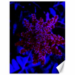 Maroon And Blue Sumac Bloom Canvas 18  X 24  by okhismakingart