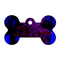 Maroon And Blue Sumac Bloom Dog Tag Bone (one Side) by okhismakingart