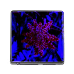 Maroon And Blue Sumac Bloom Memory Card Reader (square 5 Slot) by okhismakingart