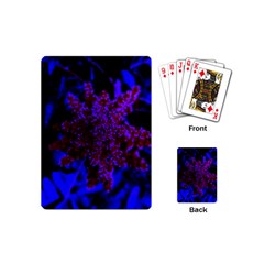 Maroon And Blue Sumac Bloom Playing Cards (mini) by okhismakingart