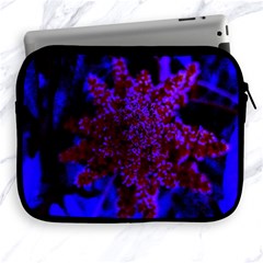 Maroon And Blue Sumac Bloom Apple Ipad 2/3/4 Zipper Cases by okhismakingart