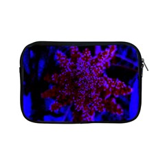 Maroon And Blue Sumac Bloom Apple Ipad Mini Zipper Cases by okhismakingart