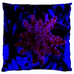 Maroon and Blue Sumac Bloom Standard Flano Cushion Case (One Side) Front