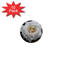 White Angular Rose 1  Mini Magnet (10 Pack)  by okhismakingart