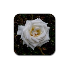 White Angular Rose Rubber Coaster (square)  by okhismakingart