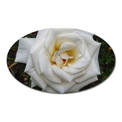 White Angular Rose Oval Magnet by okhismakingart