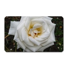 White Angular Rose Magnet (rectangular) by okhismakingart