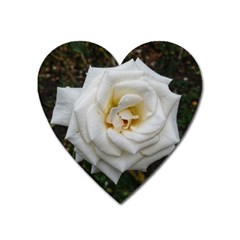 White Angular Rose Heart Magnet by okhismakingart