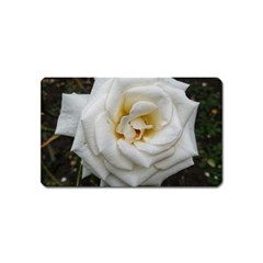 White Angular Rose Magnet (name Card) by okhismakingart