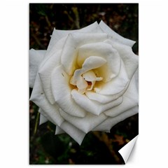 White Angular Rose Canvas 20  X 30  by okhismakingart