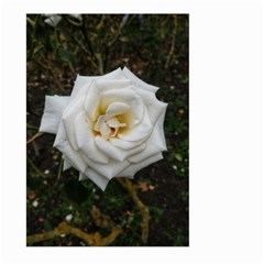 White Angular Rose Large Garden Flag (two Sides) by okhismakingart