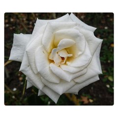 White Angular Rose Double Sided Flano Blanket (small)  by okhismakingart