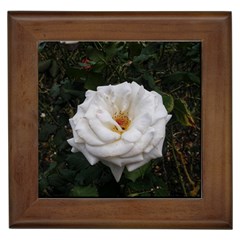 White Smooth Rose Framed Tiles by okhismakingart