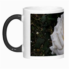 White Smooth Rose Morph Mugs by okhismakingart