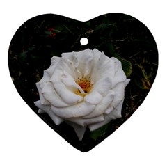 White Smooth Rose Heart Ornament (two Sides) by okhismakingart