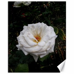 White Smooth Rose Canvas 11  X 14  by okhismakingart