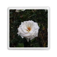 White Smooth Rose Memory Card Reader (square) by okhismakingart