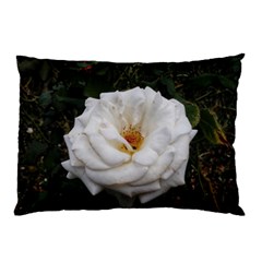 White Smooth Rose Pillow Case (two Sides) by okhismakingart