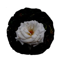 White Smooth Rose Standard 15  Premium Round Cushions by okhismakingart