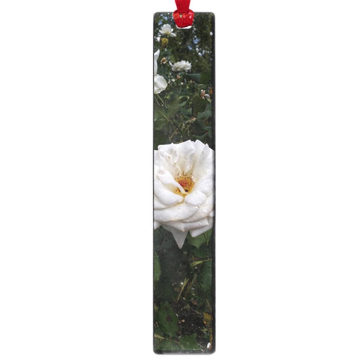 White Smooth Rose Large Book Marks