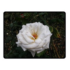 White Smooth Rose Double Sided Fleece Blanket (small)  by okhismakingart